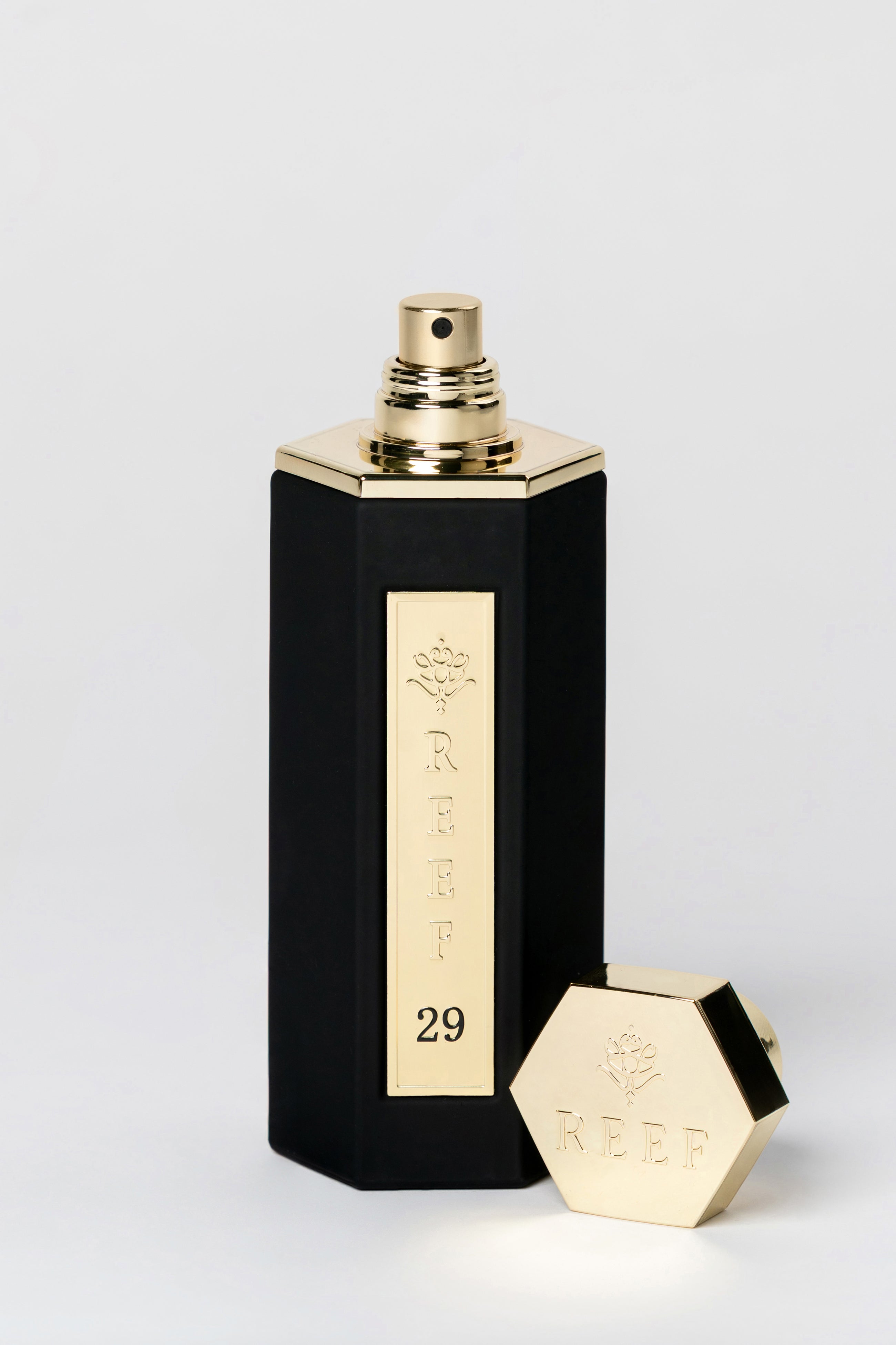 Reef 29